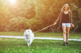 60-Minute Dog Walk
